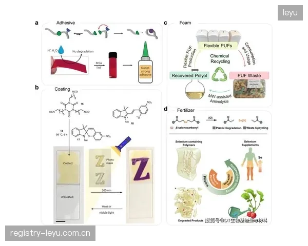 材料科学的突破是循环经济的底层驱动力，生物基与可降解材料的性能提升决定了其替代传统塑料的进程